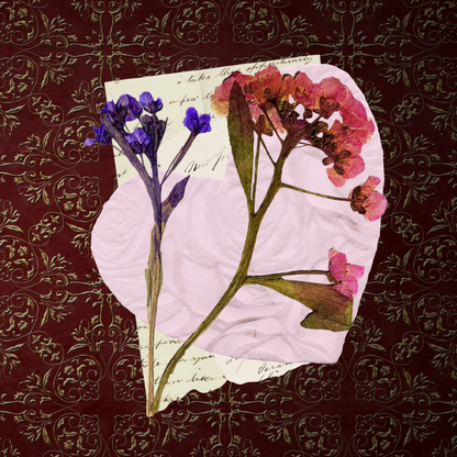 A Marriage of Convenience - Book 5, Bespoke Special Edition